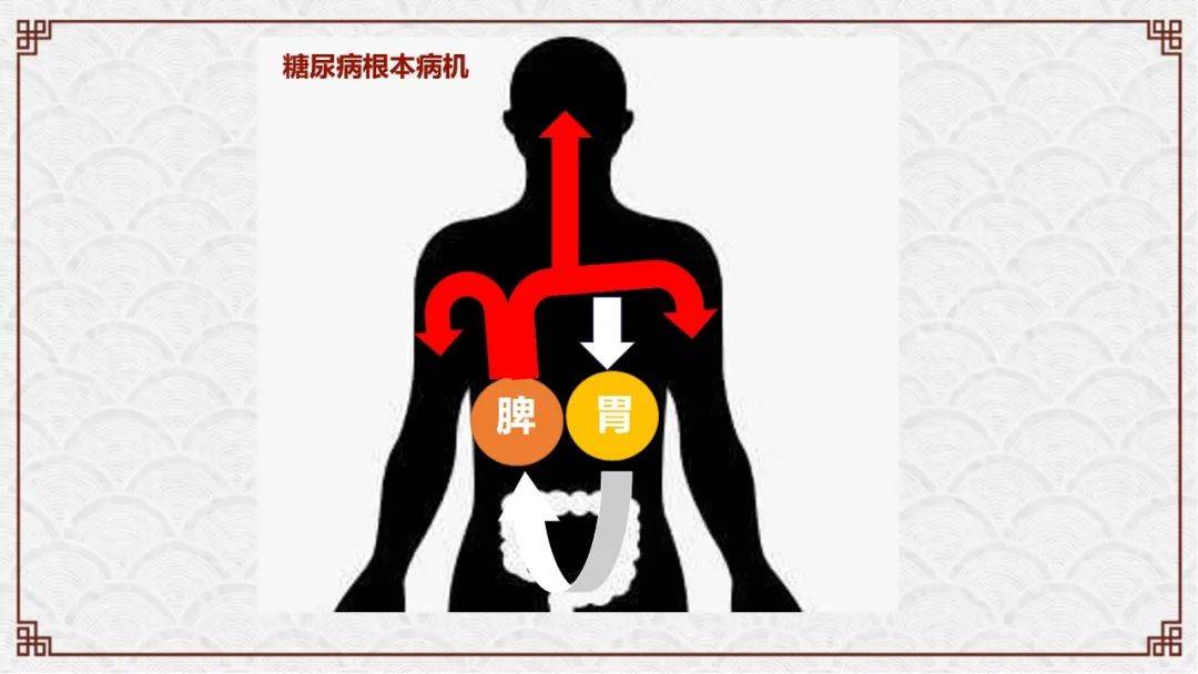 学中医主要学什么_中医学主要学什么_学中医主要学哪些东西