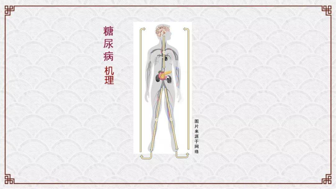 学中医主要学哪些东西_中医学主要学什么_学中医主要学什么