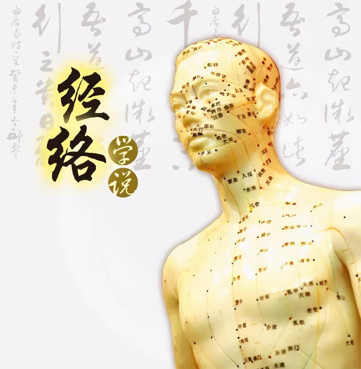 中医学基础理论_中医理论基础学哪些内容_中医理论基础学透了
