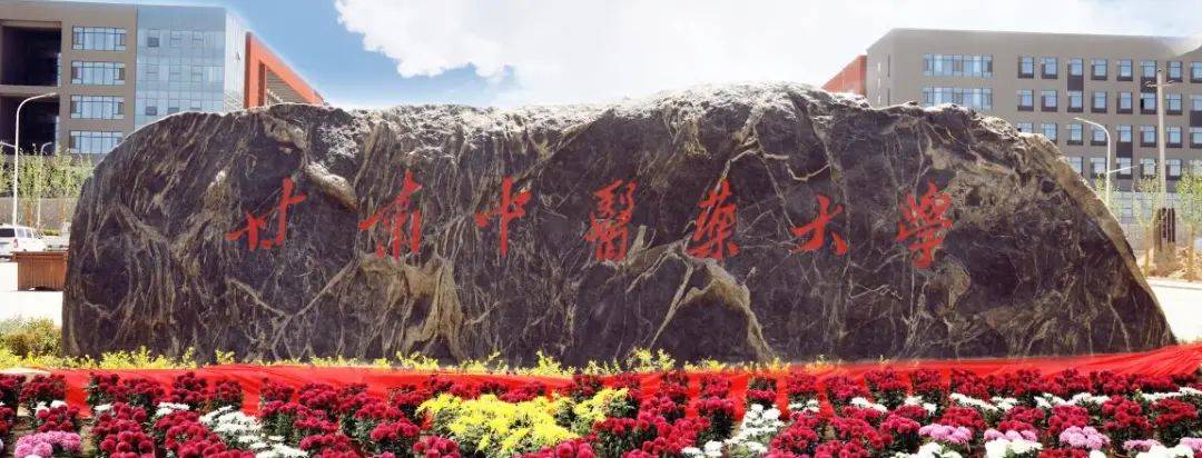 甘肃中医药大学取分线_甘肃中医学院录取分数线_甘肃省中医药大学录取分数线