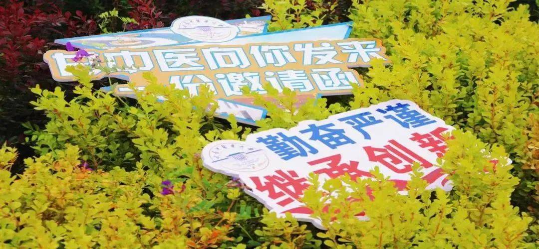 甘肃省中医药大学录取分数线_甘肃中医药大学取分线_甘肃中医学院录取分数线
