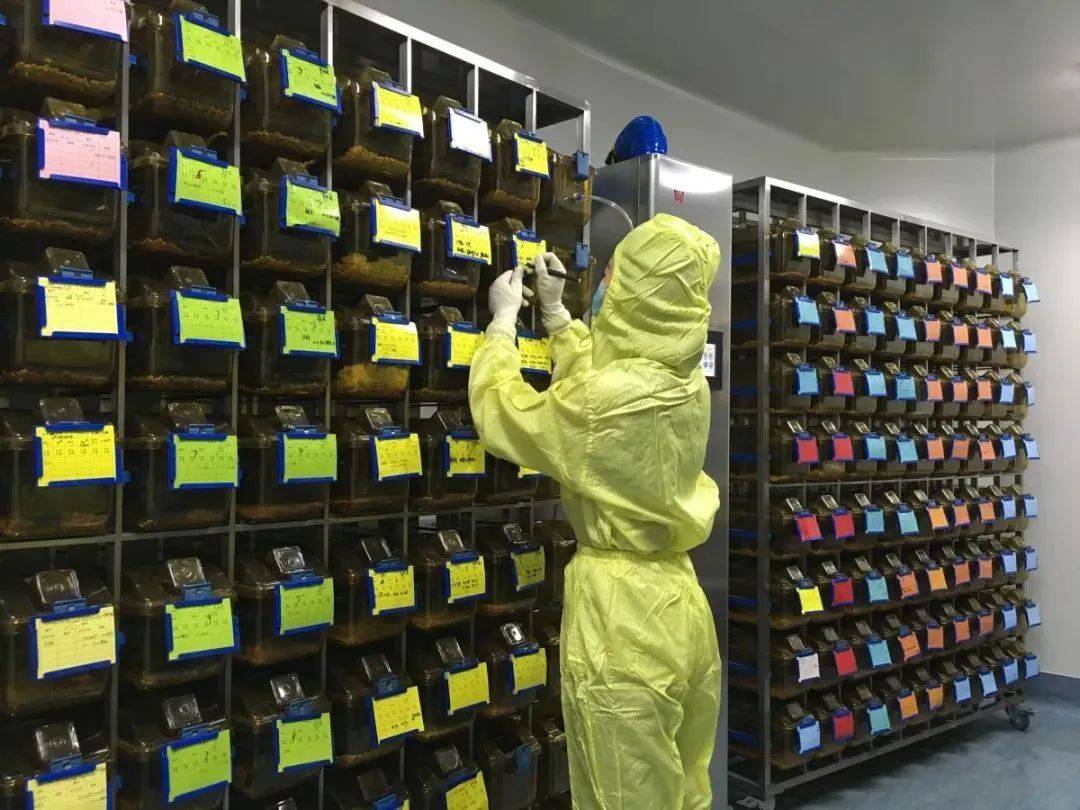 中医文科理科_理科文科中医学是一样的吗_中医学是文科还是理科