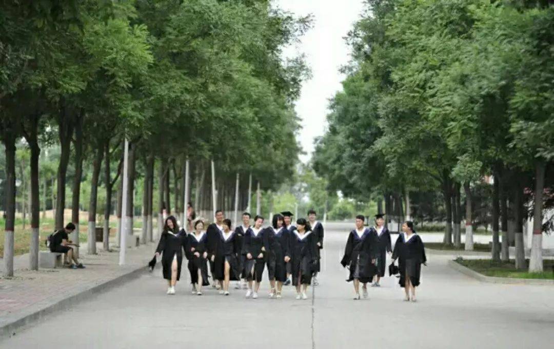河北大学中医学院官网_河北中医药大学官网_河北中医学院web