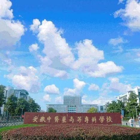 安徽中医学高等专科学校_安徽中医学高等专科学校多大_安徽学中医的大专学校