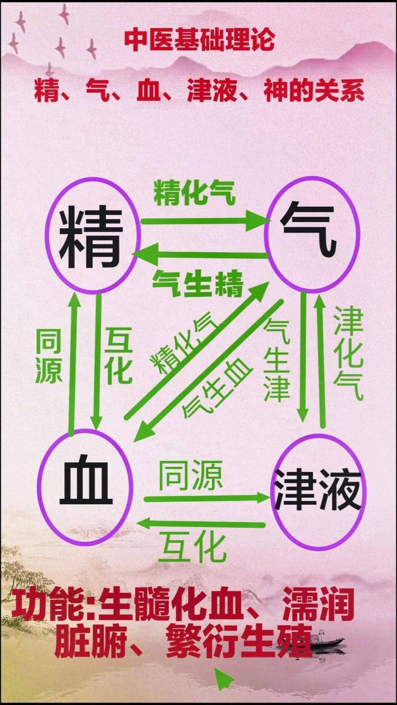 中医学理论体系的主要特点是_中医学理论体系的主要特征是_中医学理论体系的特点包括