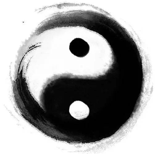 中医学理论体系的指导思想是_中医基础理论的指导思想_中医学的指导思想