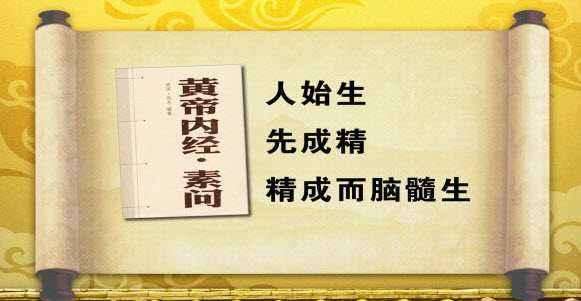 中医学是干什么的_中医学是干什么的好就业吗_中医学是干啥
