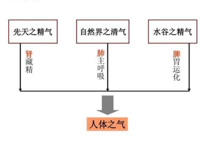 中医学是干什么的_中医学是干啥_中医学是干什么的好就业吗