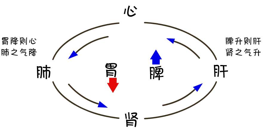 中医学是干什么的_中医学是干啥_中医学是干什么的好就业吗