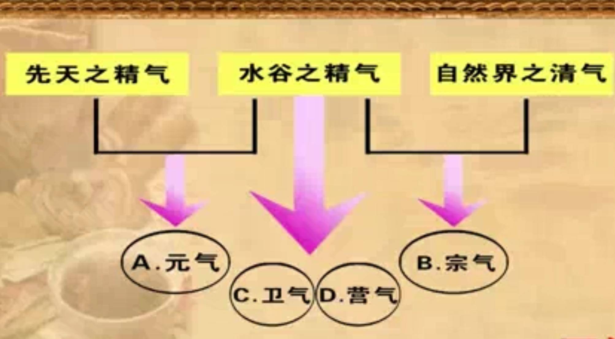 中医学是干什么的好就业吗_中医学是干什么的_中医学是干啥