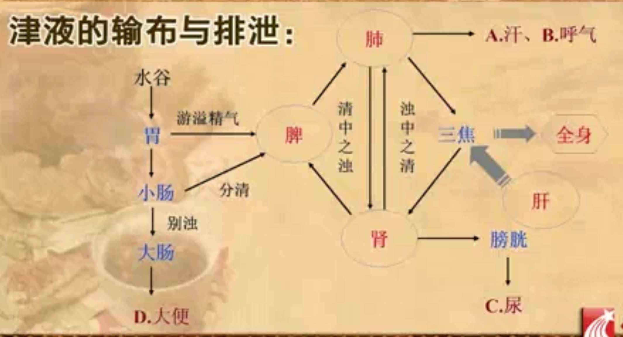 中医学是干什么的好就业吗_中医学是干什么的_中医学是干啥