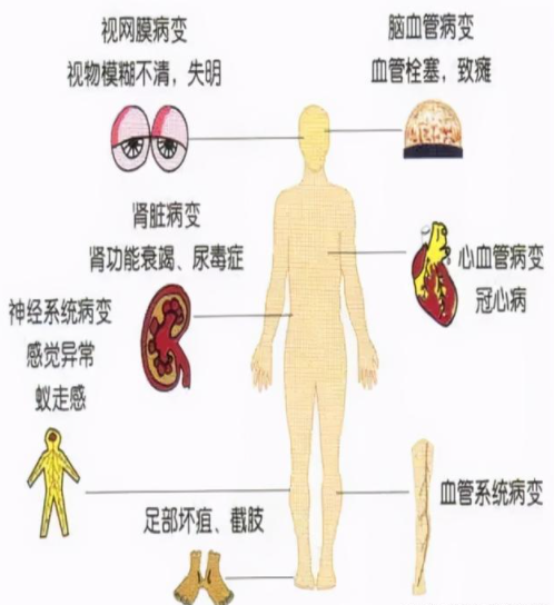 中医学专业大学排名_中医学的_中医学习网