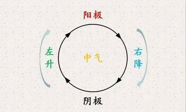中医学的_中医学习网_中医学专业大学排名