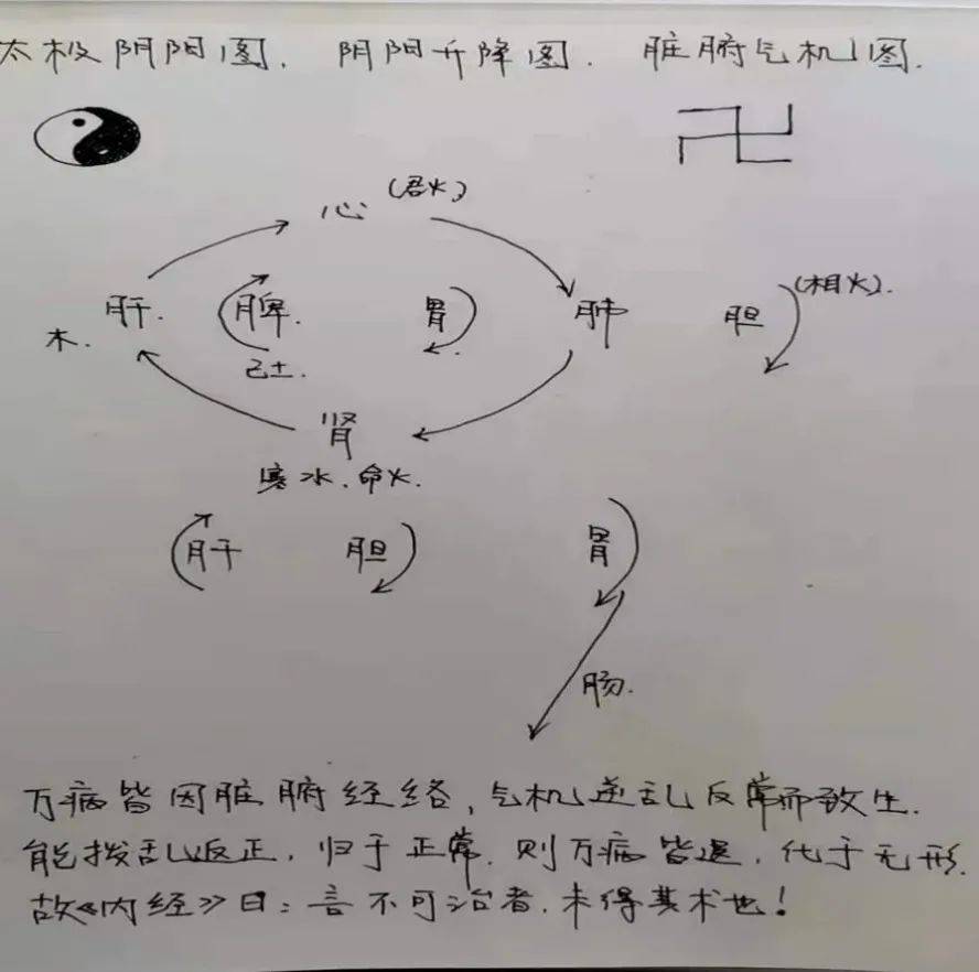 中医学习网_中医学专业大学排名_中医学的