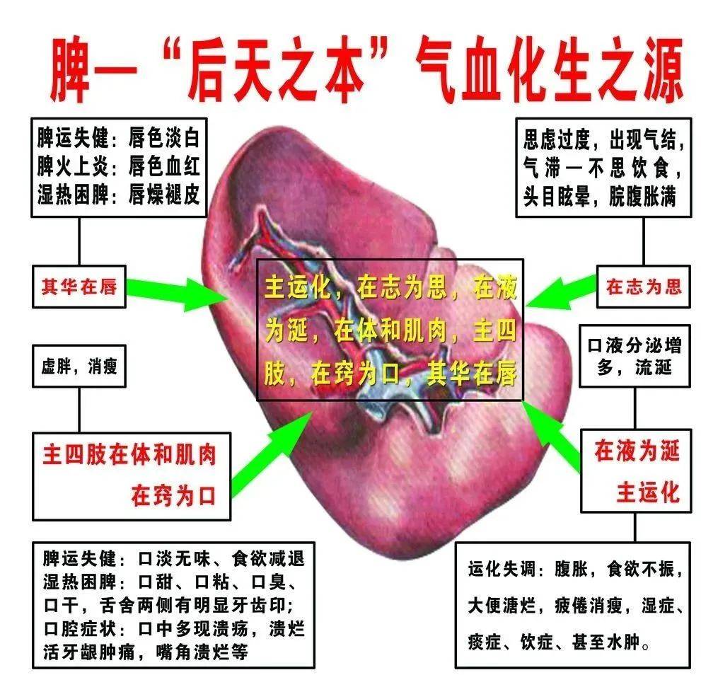 中医学习网_中医学的_中医学专业大学排名