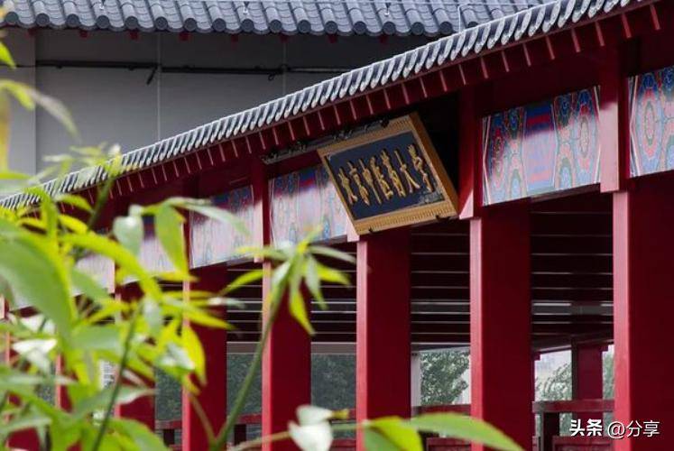 2617黑龙江中医药大学在哪_黑龙江中医药大学中医学_黑龙江中医药大学校址在哪