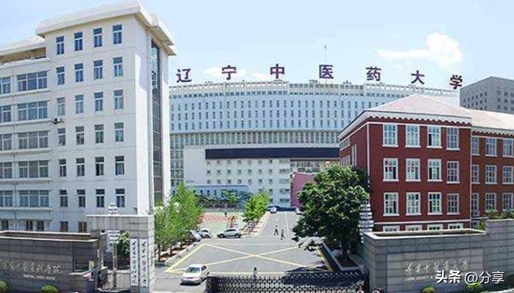 黑龙江中医药大学中医学_2617黑龙江中医药大学在哪_黑龙江中医药大学校址在哪