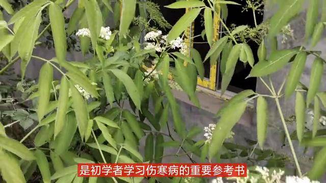 中医养生书籍有哪些_最畅销的中医养生书_中医养生书籍排行榜前十名