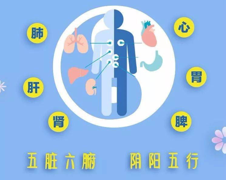浅显易懂的中医书籍_中医都懂易经_通俗易懂的中医书籍