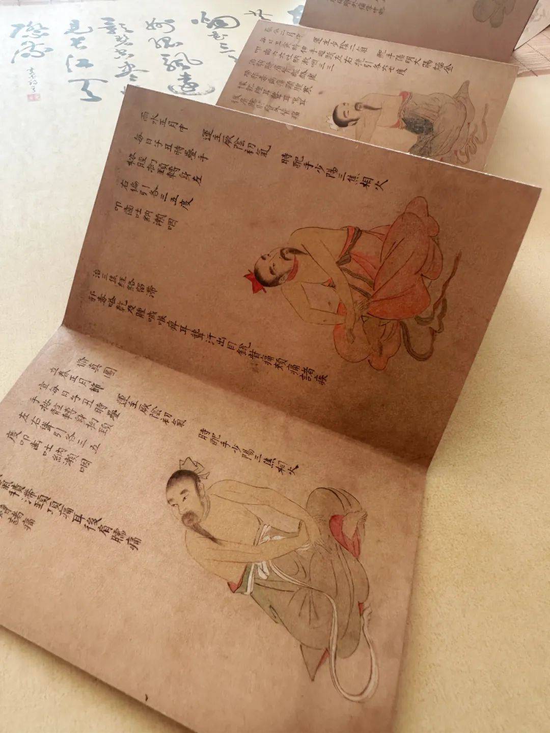 中医书籍推荐学生版_中医学的书籍_中医学书籍推荐