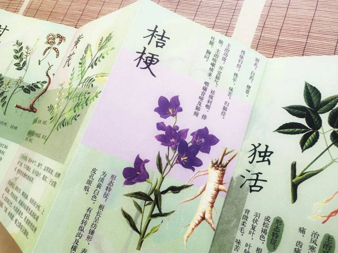 中医学的书籍_中医学书籍推荐_中医书籍推荐学生版