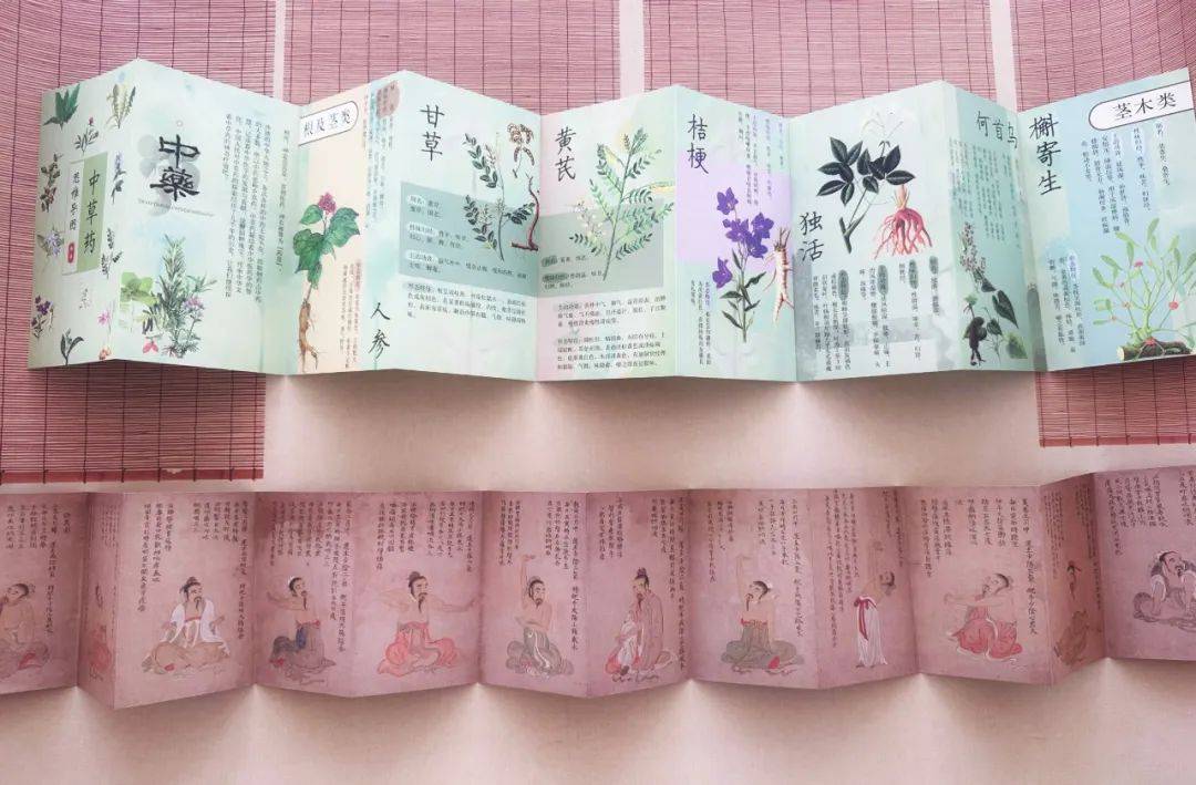中医学书籍推荐_中医学的书籍_中医书籍推荐学生版