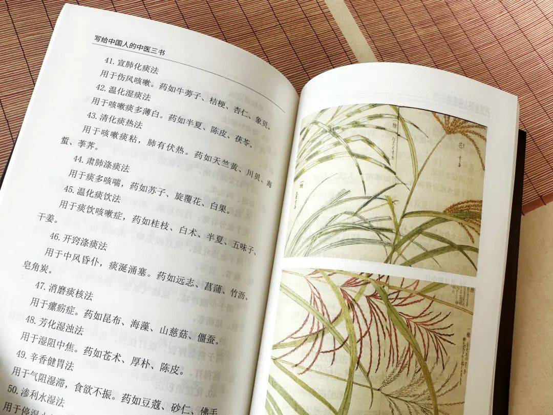 中医学书籍推荐_中医书籍推荐学生版_中医学的书籍