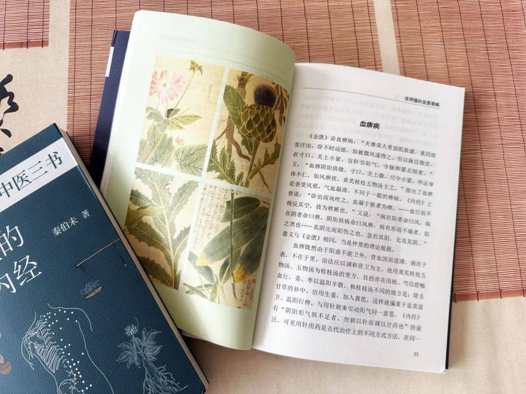 中医学的书籍_中医书籍推荐学生版_中医学书籍推荐