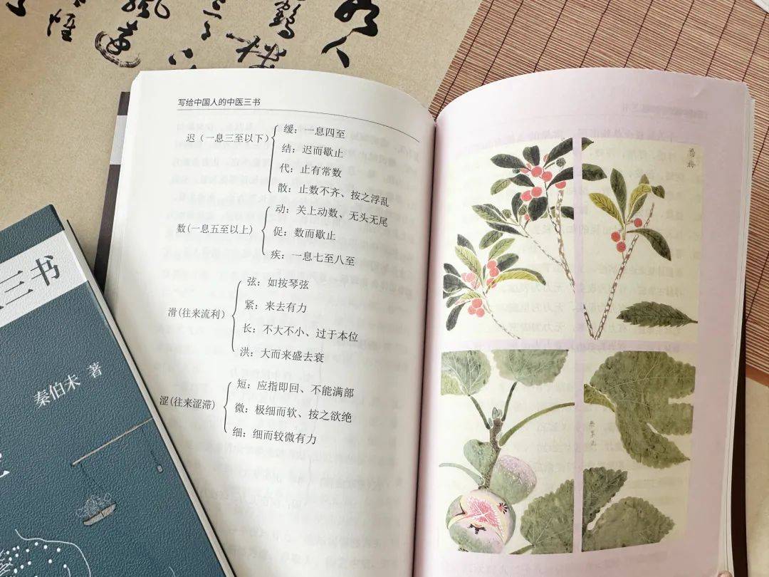 中医学书籍推荐_中医学的书籍_中医书籍推荐学生版