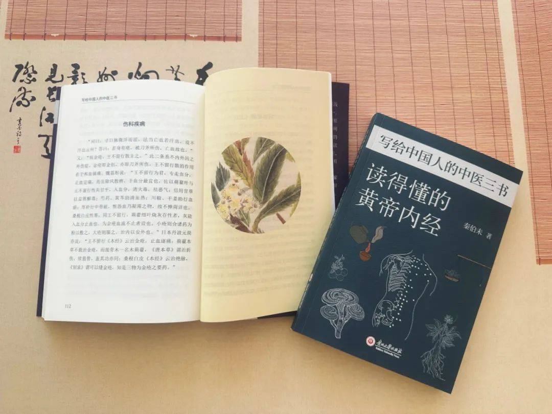 中医学书籍推荐_中医学的书籍_中医书籍推荐学生版
