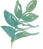 中医药书籍中药配方书_中药配方的书籍_中药配伍书籍