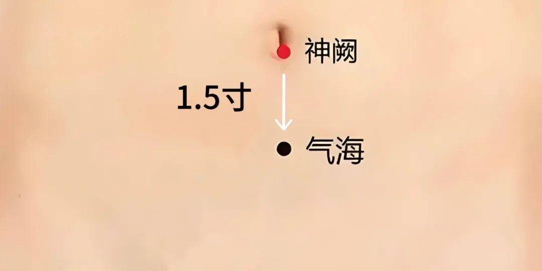 保健养生中医馆电话_中医养生保健会馆_中医保健养生馆
