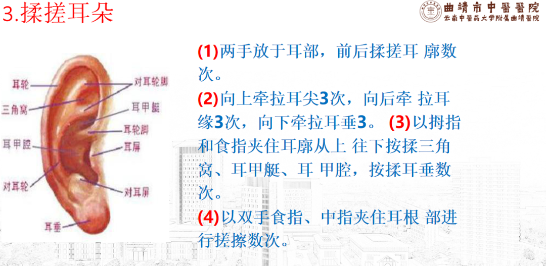 中医养生保健知识_保健养生中医知识大全_保健养生中医知识培训