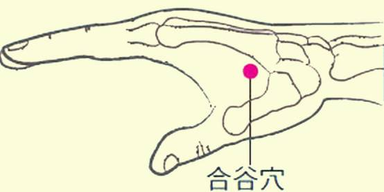 中医养生保健知识_保健养生中医知识大全_保健养生中医知识培训