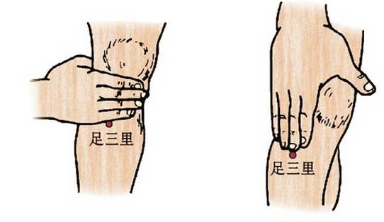 中医养生保健知识_保健养生中医知识大全_保健养生中医知识培训