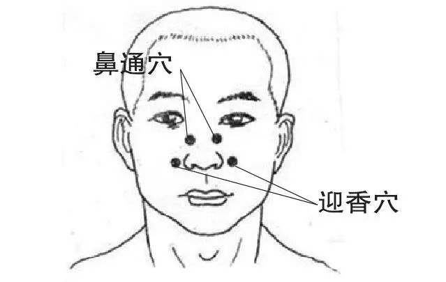 保健养生中医知识大全_中医养生保健知识_保健养生中医知识培训