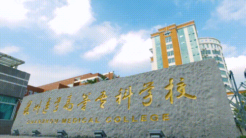 中医养生保健专升本考试科目_中医养生保健专升本学校_中医养生保健专升本考哪几门