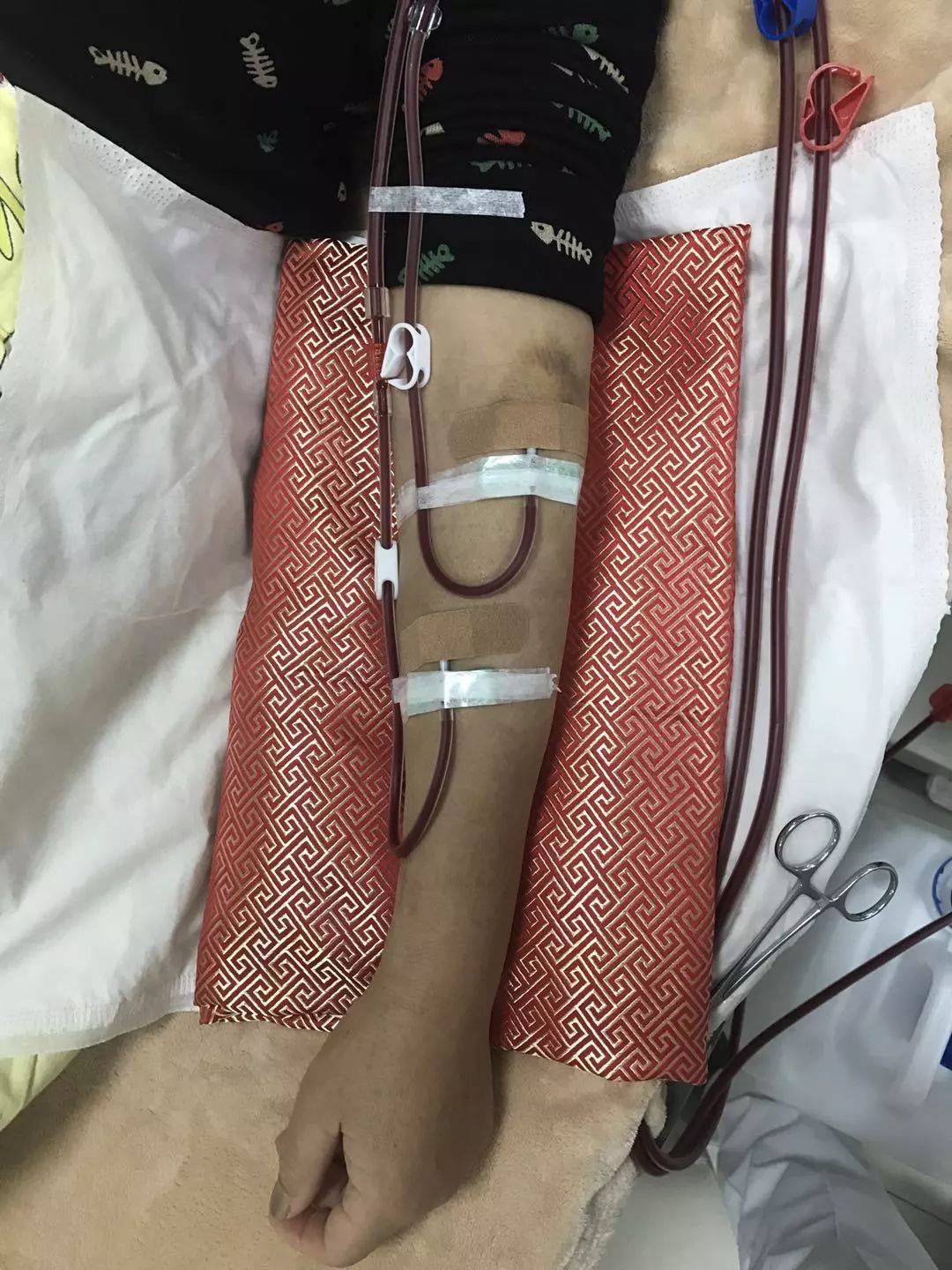 中医养生保健网_中医养生保健作用_中医养生保健的常用方法