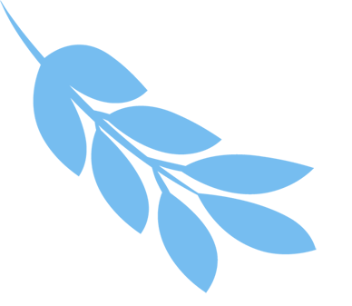 保健养生中医论文毕业后干什么_中医养生保健毕业论文_中医养生保健论文3000字