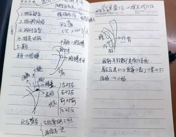 中医养生保健论文3000字_中医养生保健毕业论文_保健养生中医论文毕业后干什么