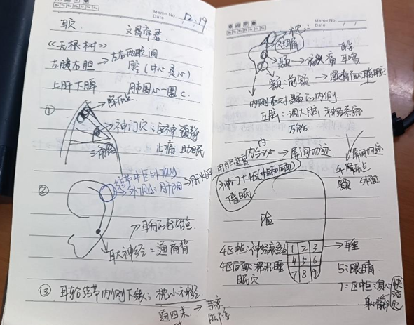 中医养生保健论文3000字_保健养生中医论文毕业后干什么_中医养生保健毕业论文