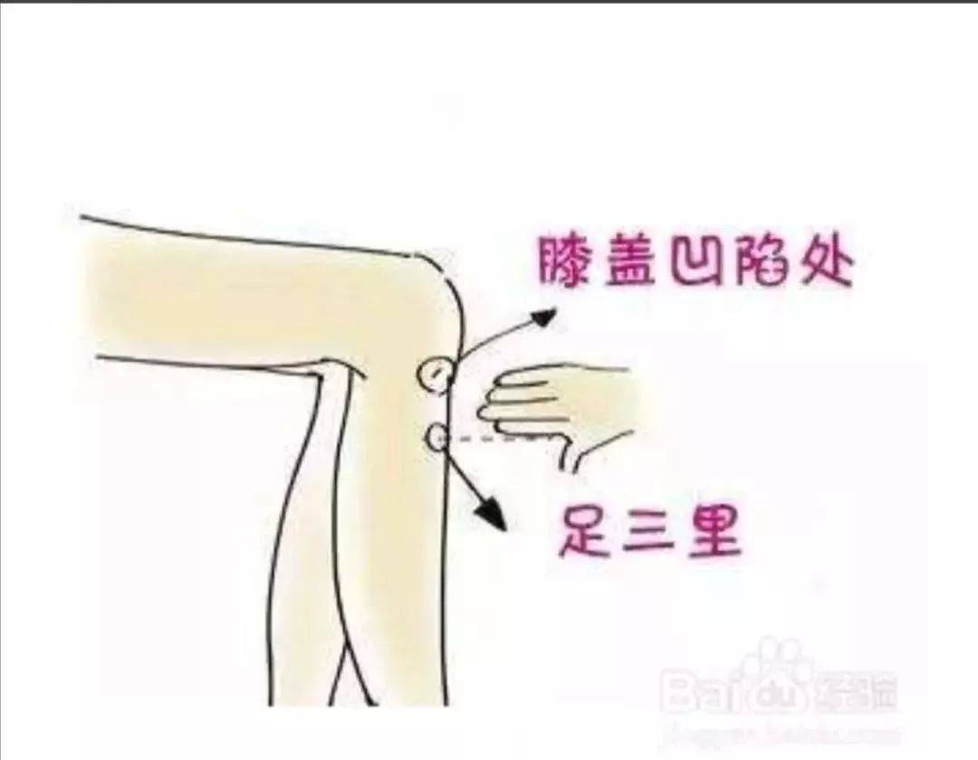 中医养生保健的常用方法_中医养生保健百科_中医养生保健网