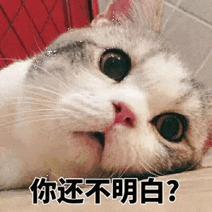 保健养生中医是什么专业_保健养生中医是干什么的_中医养生保健是什么