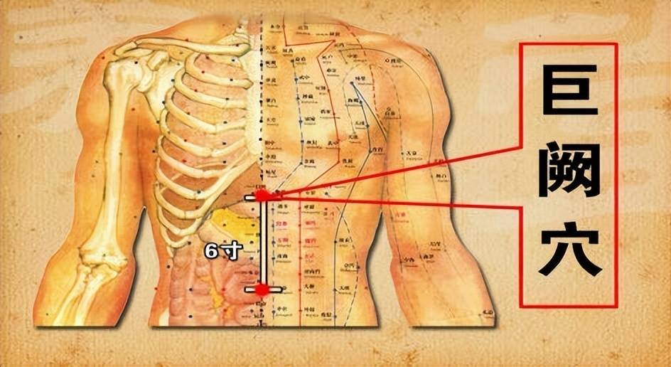 中医的保健_中医穴位保健_中医中的保健按摩手法