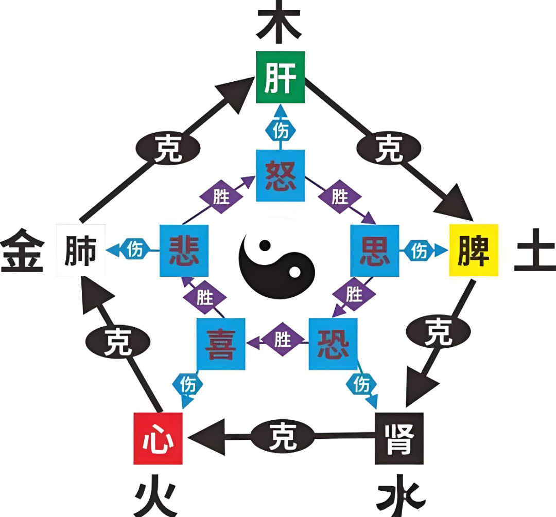 高血压病中医养生保健方案_高血压的中医药保健_高血压的中医药养生保健服务