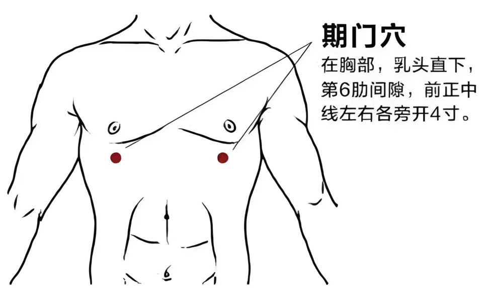 高血压病中医养生保健方案_高血压的中医药保健_高血压的中医药养生保健服务