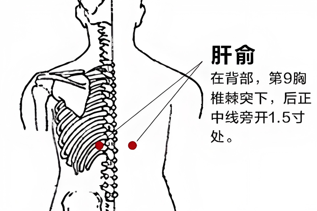 高血压的中医药养生保健服务_高血压的中医药保健_高血压病中医养生保健方案