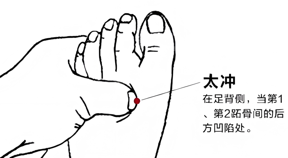 高血压的中医药保健_高血压病中医养生保健方案_高血压的中医药养生保健服务