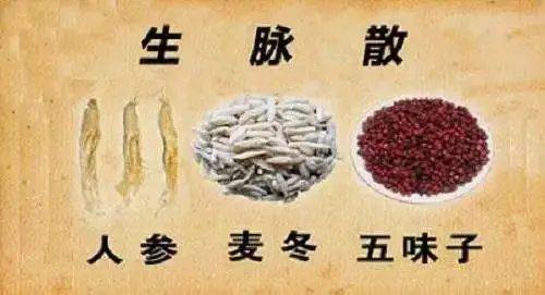 中医养生保健介绍_中医养生与保健_中医养生保健的作用