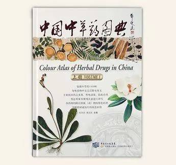 学中医入门最先看什么书_中医入门必看书_中医入门的书